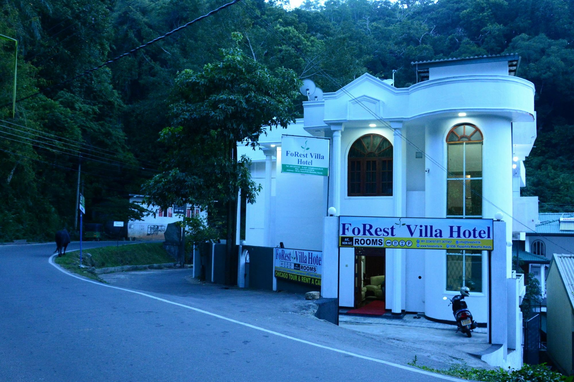 Kandy Forest Villa Hotel Exterior foto